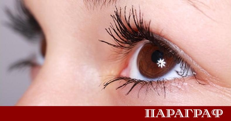 Международен екип от изследователи постигна исторически пробив в офталмологията и
