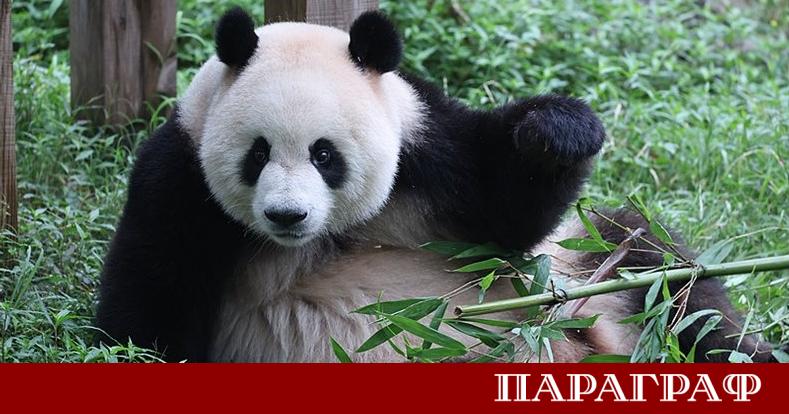 Музеят на Буда Фо Гуан Шан в град Гаосюн стана