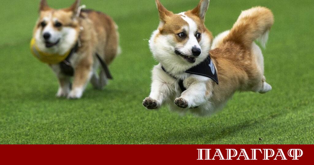 Екстремните горещини които обхванаха Франция и други части на Европа