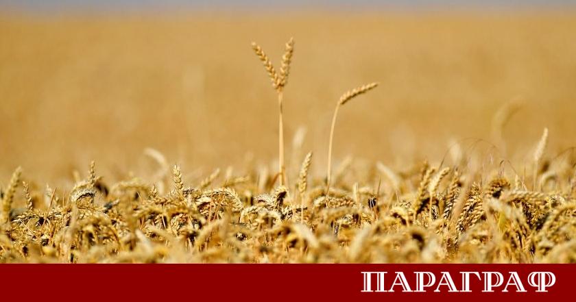 Поредните руски атаки срещу Украйна доведоха до нови жертви и