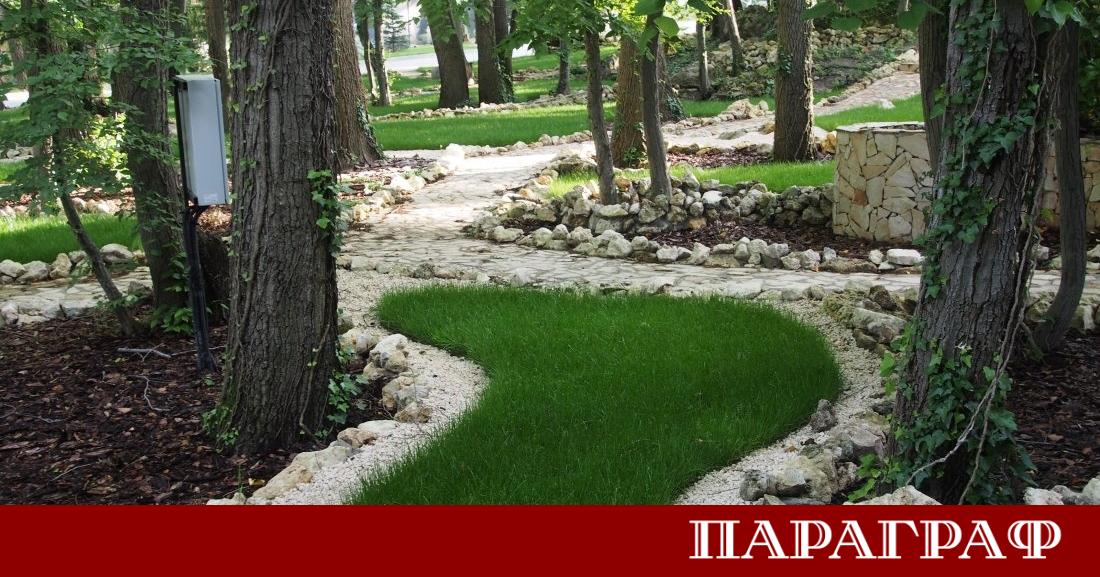 Разследването на мащабната афера Баба Алино навлиза в критична фаза