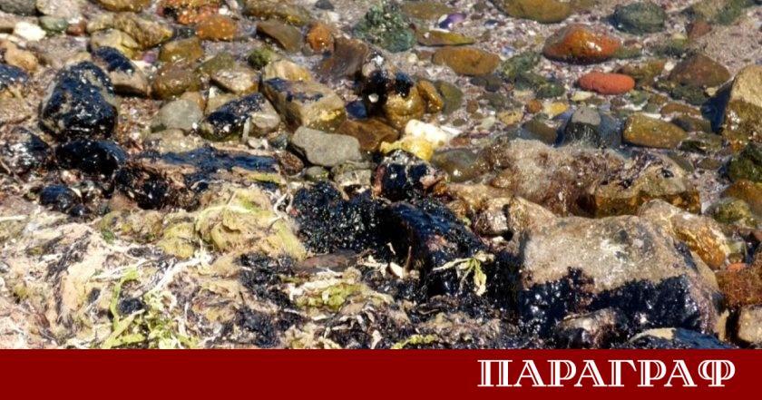 Регионалната здравна инспекция РЗИ в Бургас успокои летовниците относно качеството