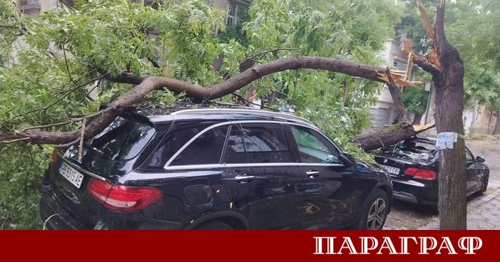 Обилен дъжд над Пловдив предизвика сериозни материални щети през вечерните