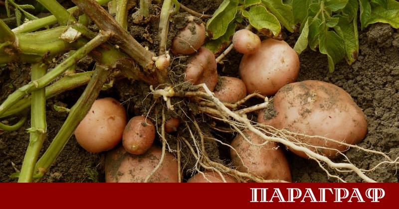 Учени от Стокхолмския университет отправиха сериозно предупреждение относно безопасността на