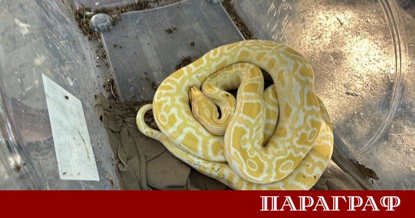Жителите на Стара Загора станаха свидетели на необичайна и плашеща