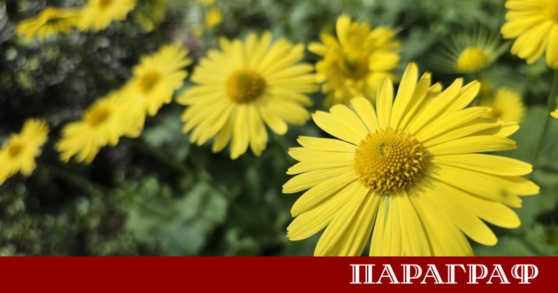 Днес над по голямата част от страната времето ще бъде