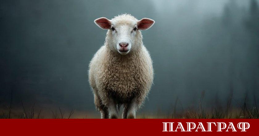 Преди три десетилетия светът стана свидетел на събитие което промени