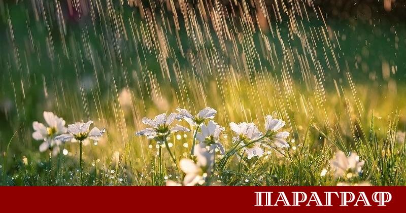 Първата половина на деня ще предложи изобилие от слънчева светлина