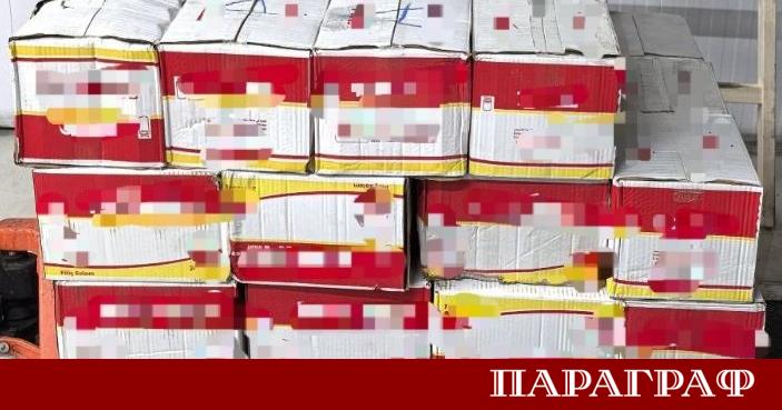 Инспектори от дирекция Граничен контрол към Българската агенция по безопасност