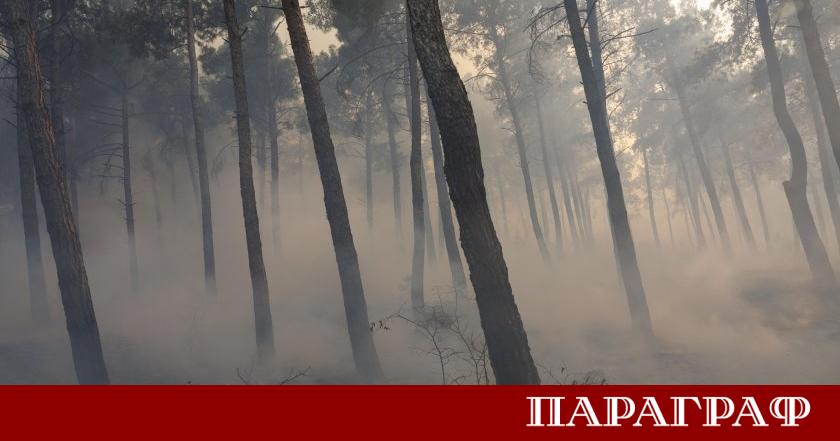 Испания продължава да се бори с мащабни и унищожителни горски