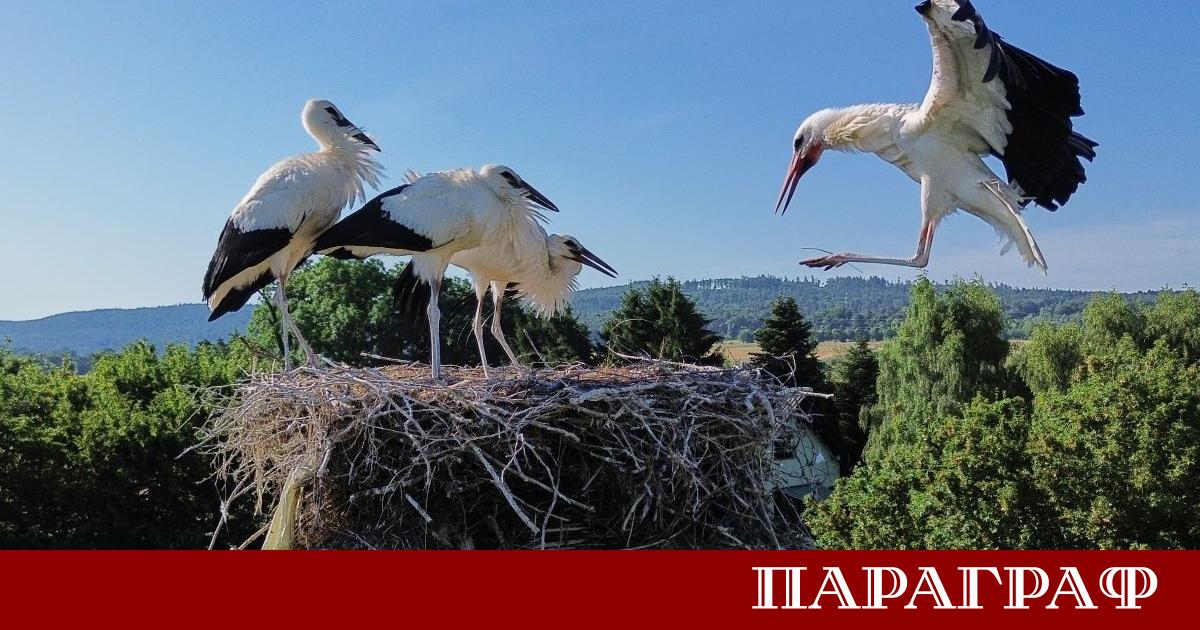 Чигоч е малко хърватско село с голямо значение за опазването