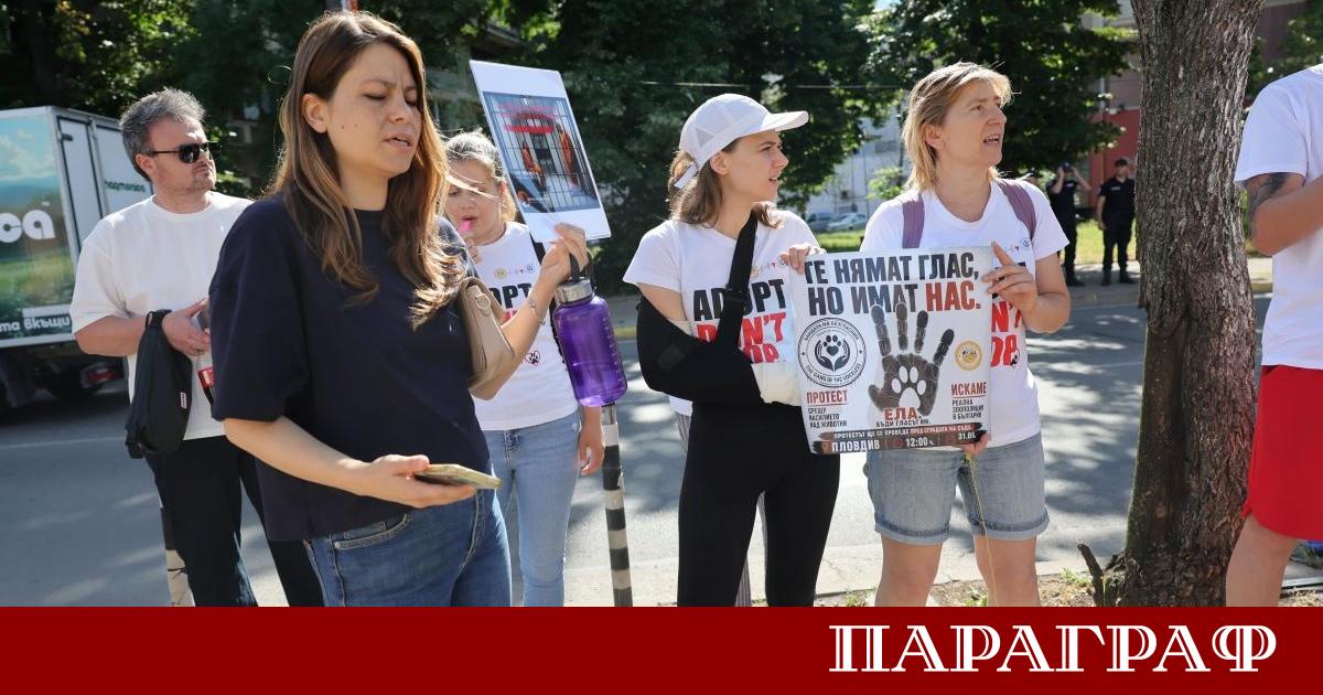 Защитници на животните се събраха пред Софийския районен съд с