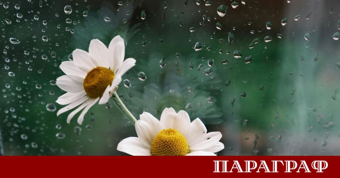 Днес времето в страната ще бъде предимно слънчево и топло