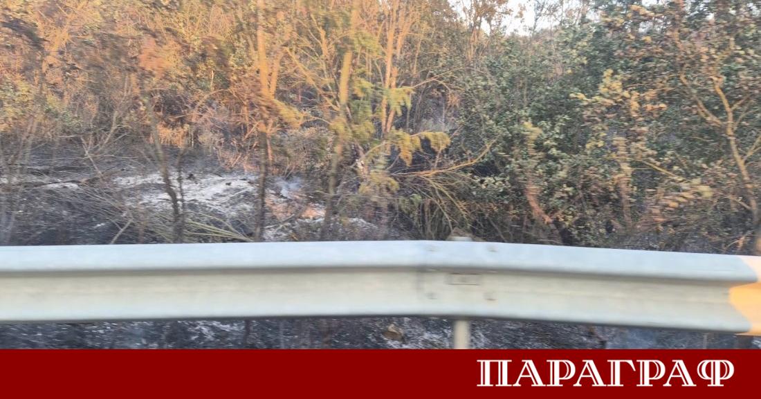 Сериозна ситуация с огнената стихия се наблюдава в района на