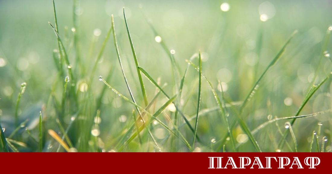 Предстоящата сряда 8 юли 2026 г ще донесе рязка промяна