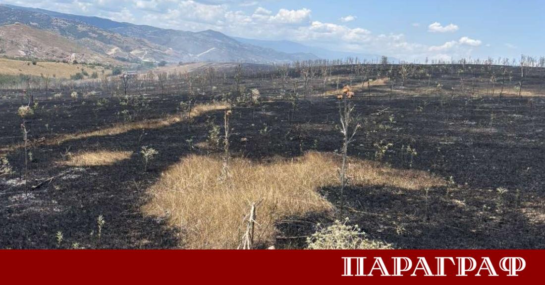 Тежък инцидент беляза мащабния пожар в района на село Левуново