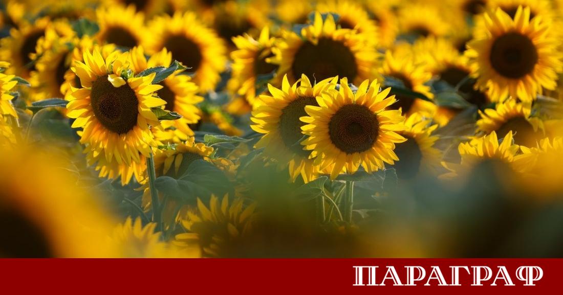 Последният работен ден от седмицата ще предложи предимно слънчево и