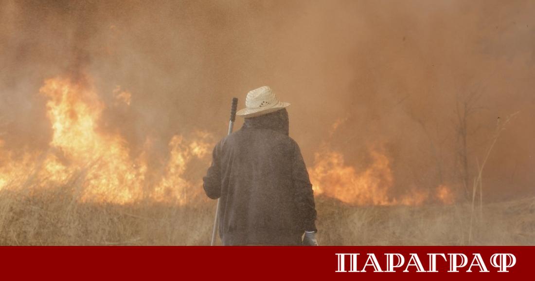 Горските пожари в Южна Испания доведоха до смъртта на най