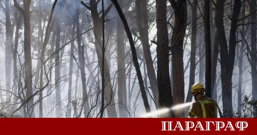 Горските пожари в Испания взеха нови жертви през последната седмица