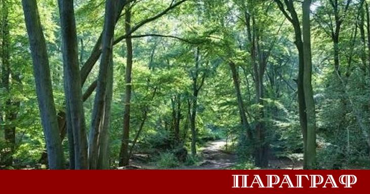 Вашингтон изрази сериозни опасения относно новите намерения на Лондон Великобритания