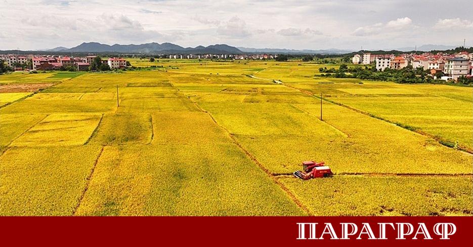 Китай отбеляза историческо постижение в своя селскостопански сектор през 2026