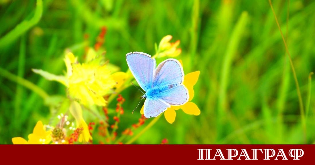 През изминалото денонощие метеорологичната обстановка в страната беше изключително динамична