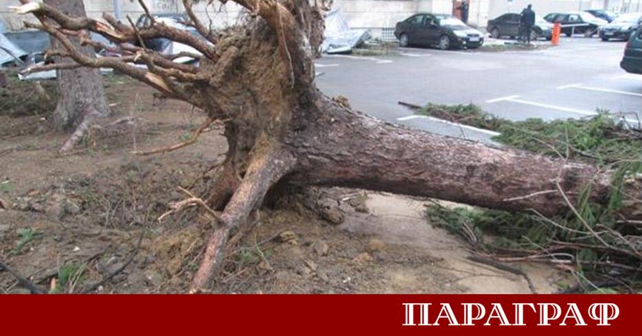 Силна лятна буря премина през София днес следобед и предизвика