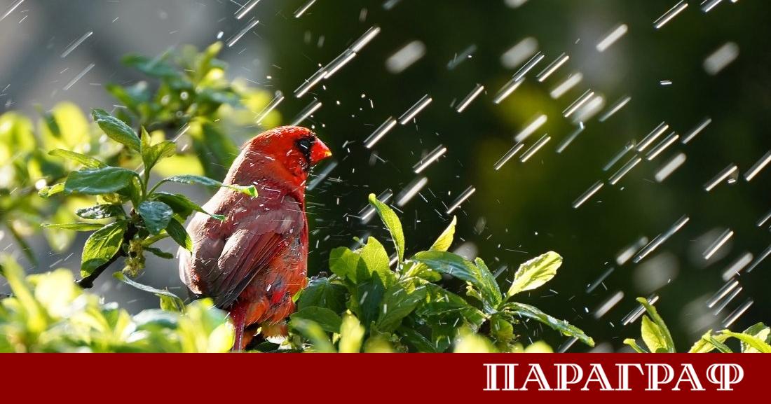 Вторник носи осезаема промяна в метеорологичната обстановка над страната Вятърът