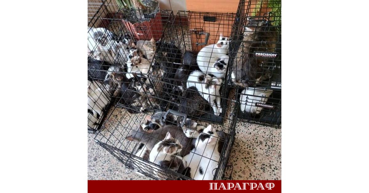 Румънските власти проведоха безпрецедентна спасителна операция в столицата Букурещ Служители