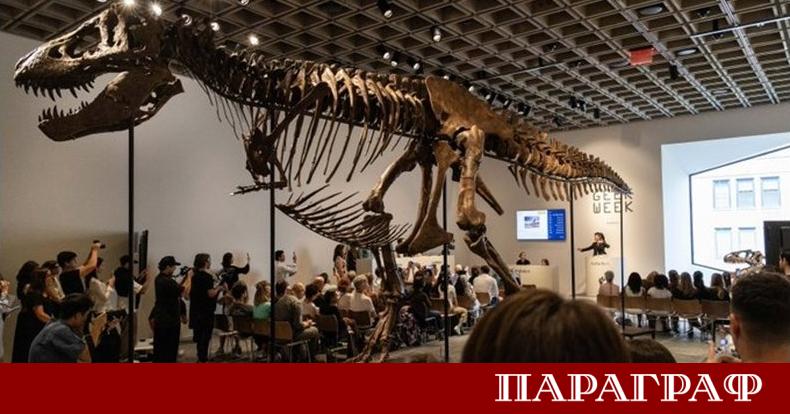 Скелет на тиранозавър рекс постигна историческа цена на престижен търг
