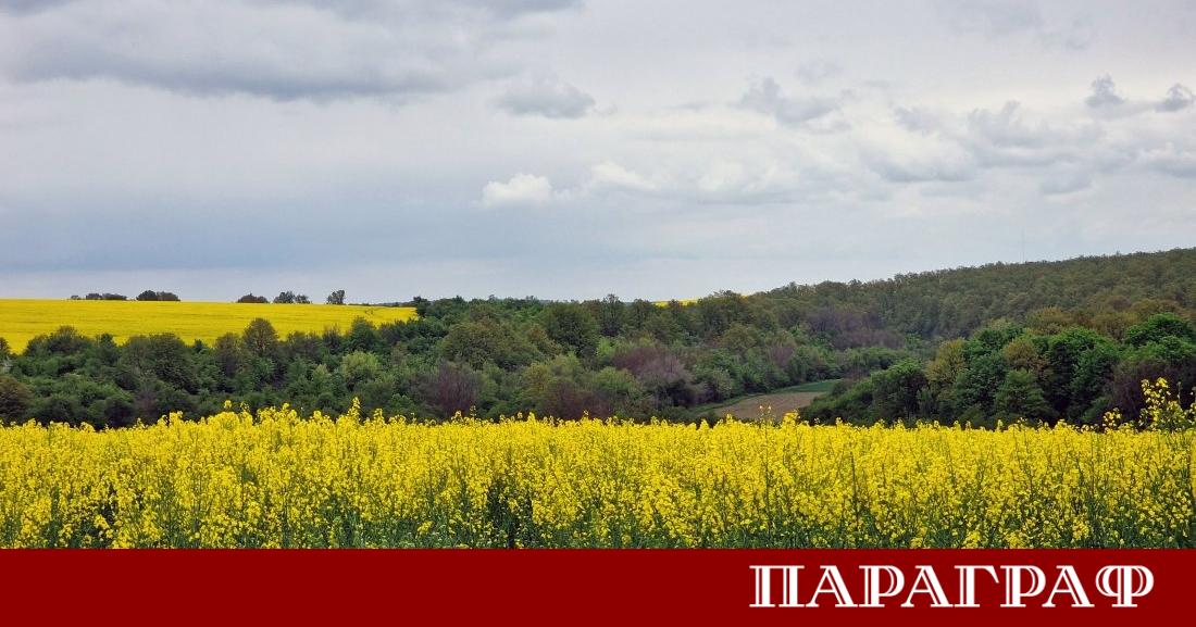 В неделя метеорологичната обстановка в България ще бъде контрастна Източните