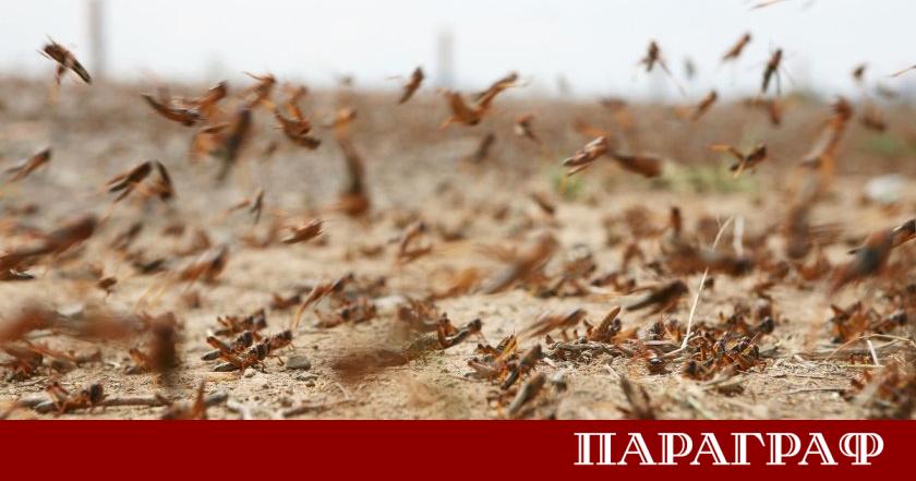 Жителите на турския мегаполис Истанбул изразяват сериозно безпокойство от масовото