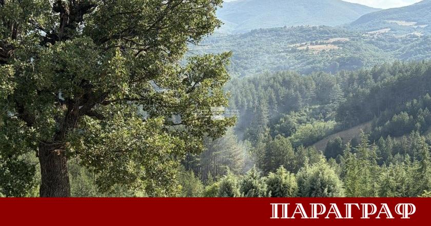 Сериозен пожар избухна в землището на благоевградското село Логодаж Огънят