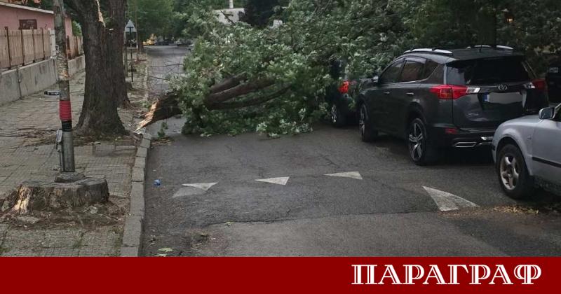Мощна буря със силен вятър и интензивни мълнии премина през