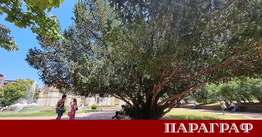 Общинският съветник от Синя София проф Вили Лилков предлага мащабна