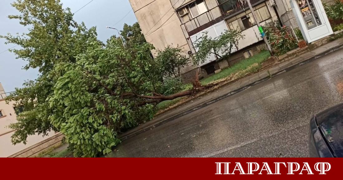 Петрич стана жертва на мощна природна стихия тази вечер Градът