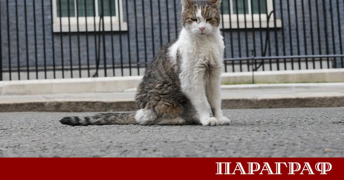 Анди Бърнам официално поема управлението на Великобритания като нов министър