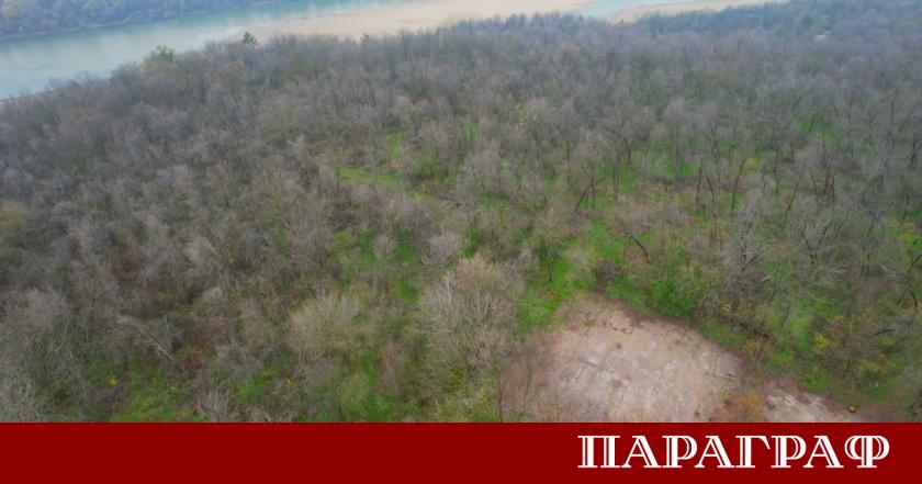 Министерството на земеделието и храните обяви планове за мащабна принудителна