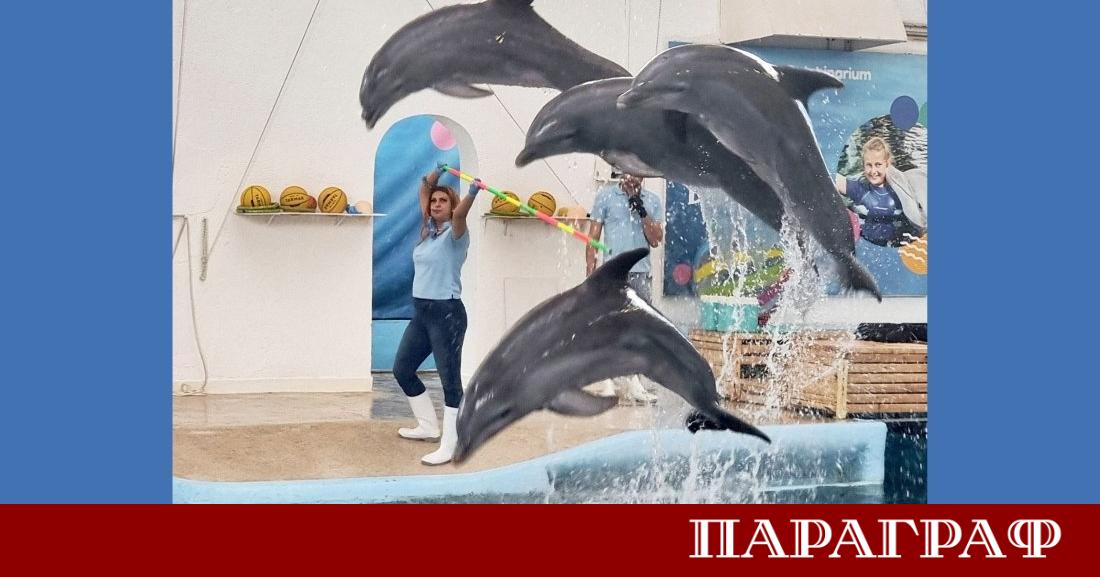 Делфинариумът във Варна остава водеща туристическа дестинация по българското Черноморие