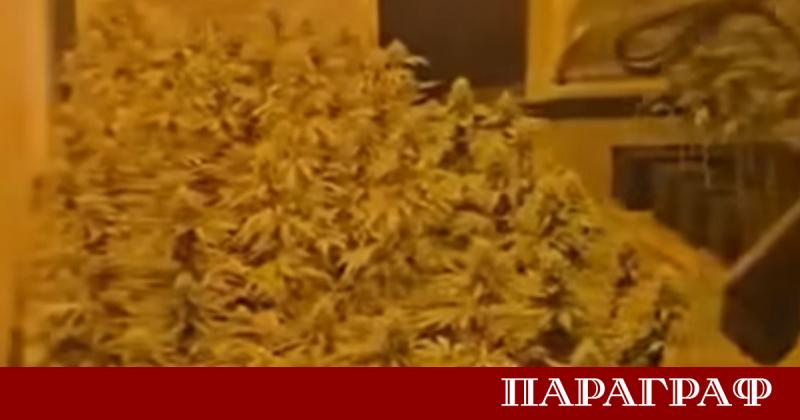 Специализирана полицейска операция доведе до разкриването на модерна база за