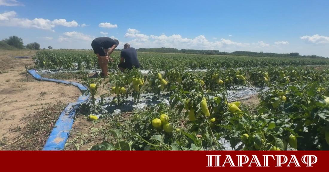 Поредицата от мощни бури и градушки през последните седмици постави