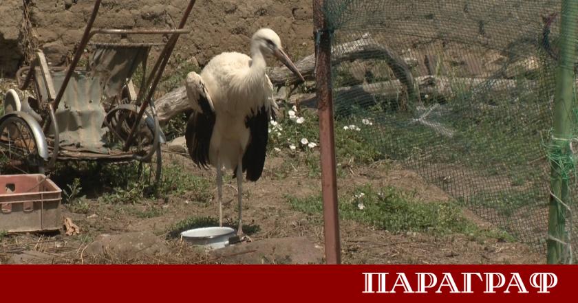 Семейство от столичния квартал Бенковски преживя драматична история с ранен
