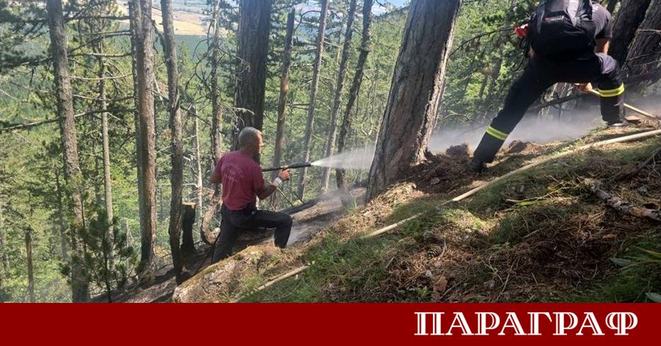 Пожарът в Национален парк Пирин вече е окончателно потушен Новината