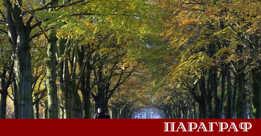Нидерландия предприема решителни стъпки срещу опасното поведение на пътя Страната