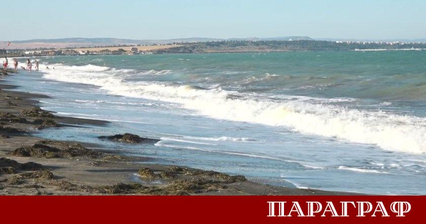 Морските спасители по Южното Черноморие отчитат тревожна промяна в поведението