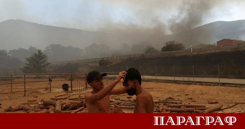 Горските пожари в Европа достигнаха критични нива през последните часове