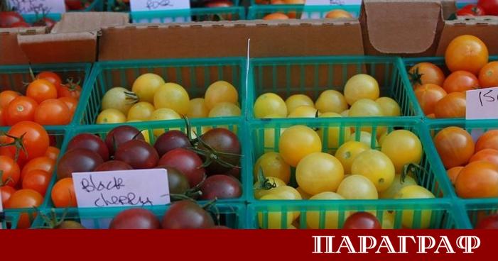 Сезонът на доматите е в разгара си и пазарите предлагат