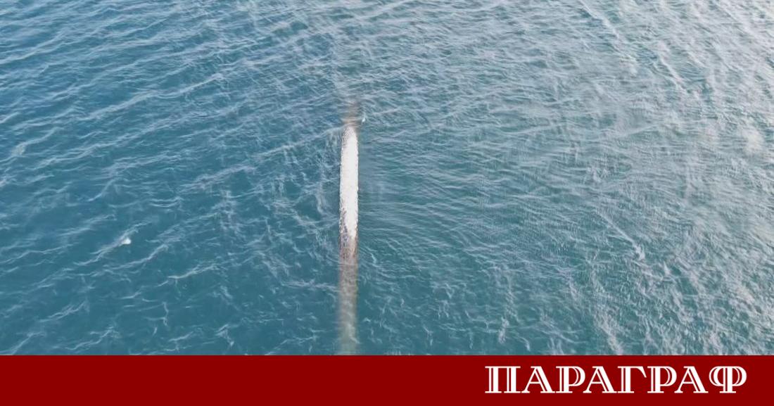 РИОСВ Бургас и Басейнова дирекция Черноморски район започнаха мащабна проверка
