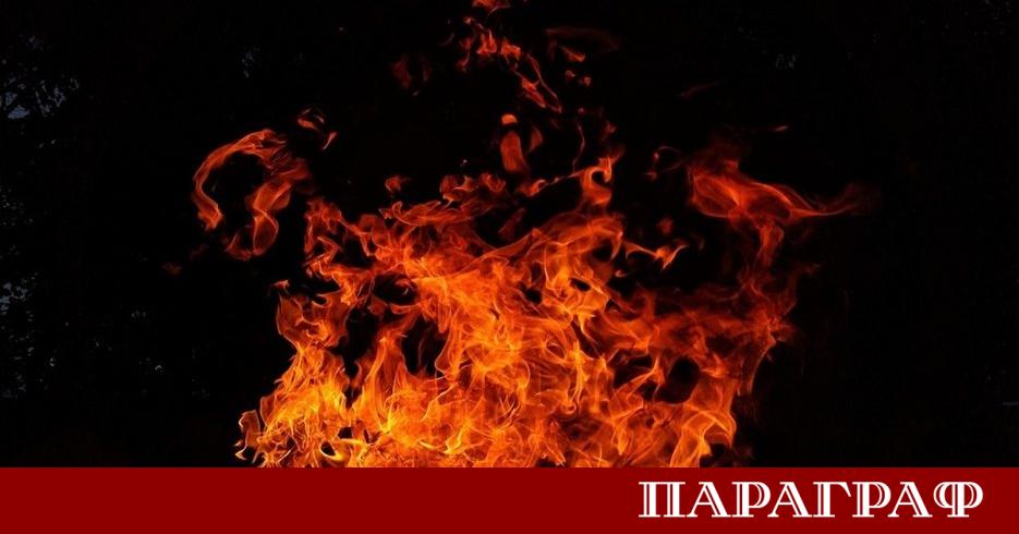Португалия е обхваната от множество нови горски пожари през последните