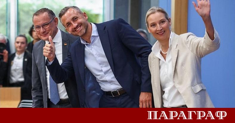 'Алтернатива за Германия' отвори широко вратата за крайнодясното в ЕС